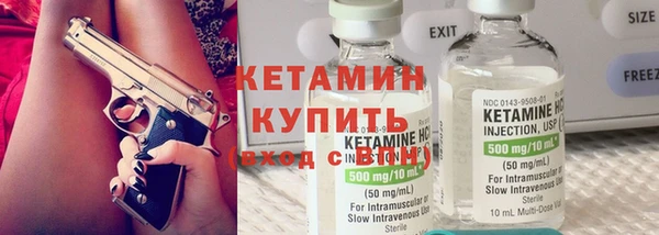 индика Бронницы
