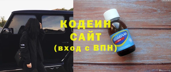 индика Бронницы