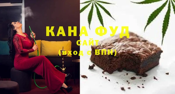 индика Бронницы