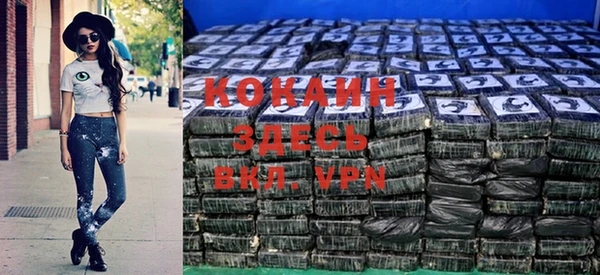 индика Бронницы