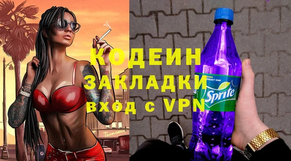 2c-b Бородино