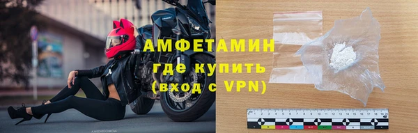индика Бронницы