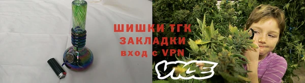 индика Бронницы