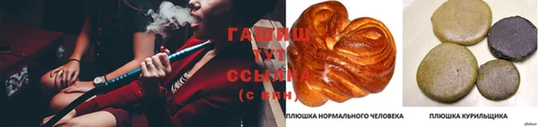 индика Бронницы