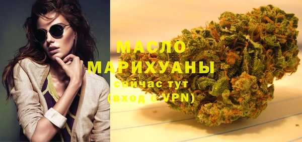 индика Бронницы