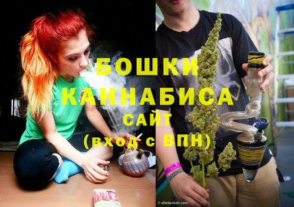 индика Бронницы