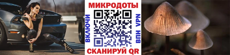 закладка  Дедовск  Псилоцибиновые грибы прущие грибы 
